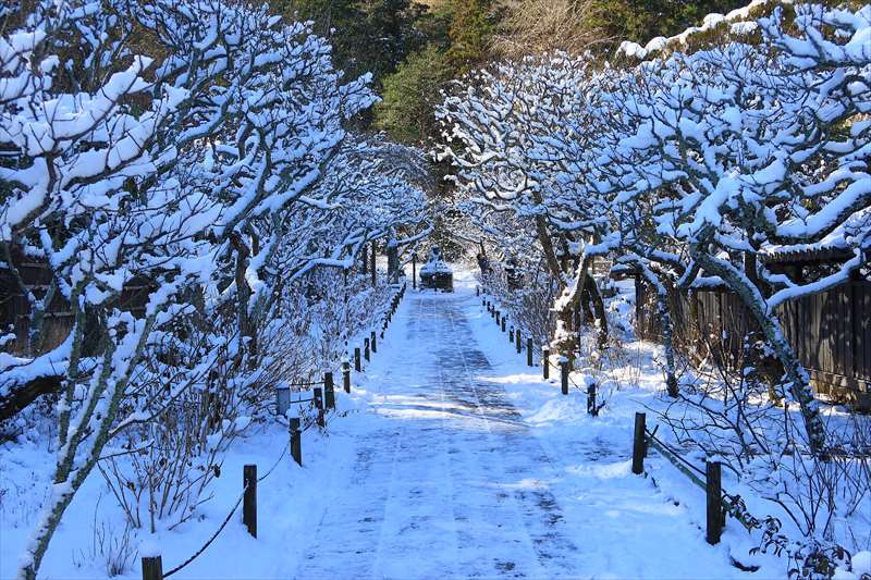 冬・雪の東慶寺の様子