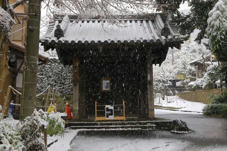 雪の瑞泉寺の山門