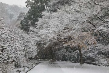雪の瑞泉寺