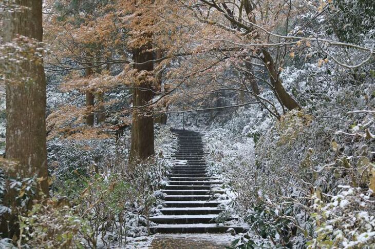 雪の瑞泉寺の階段