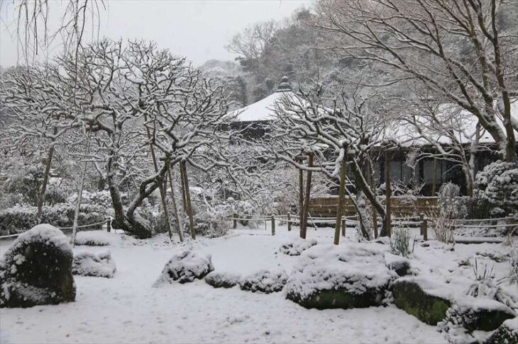 雪の瑞泉寺の境内