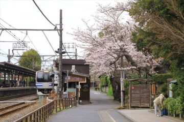 北鎌倉駅と桜