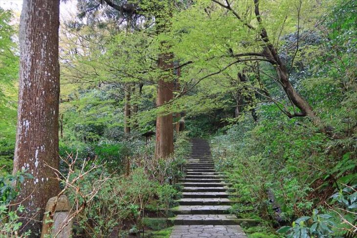瑞泉寺の石段（階段）