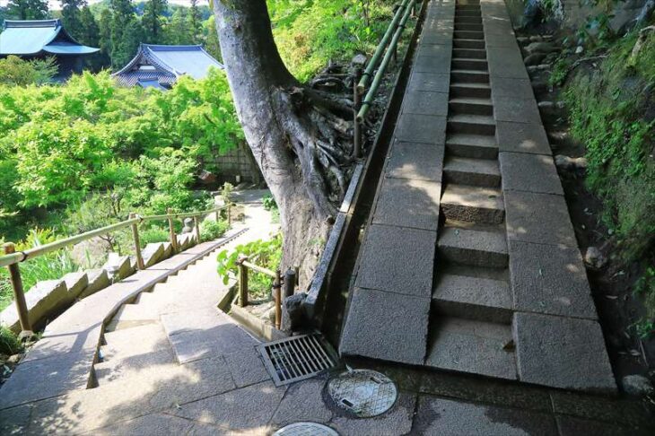 龍隠庵の参道の階段
