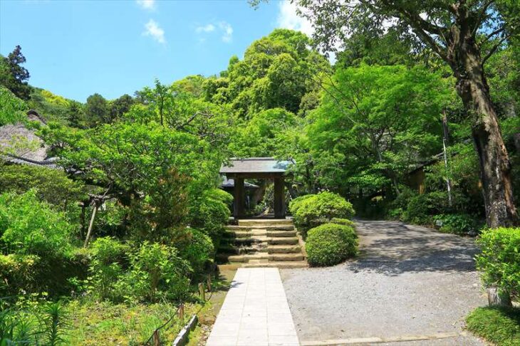 浄智寺の棟門と新緑