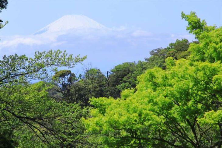 半僧坊から見る富士山
