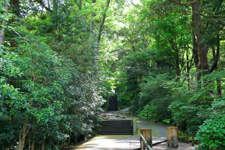 妙本寺の境内と新緑