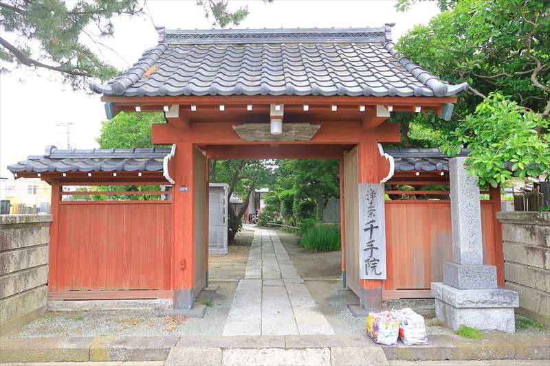 千手院の紫陽花の様子と見頃 鎌倉の寺院と札所巡り by鎌倉PRESS