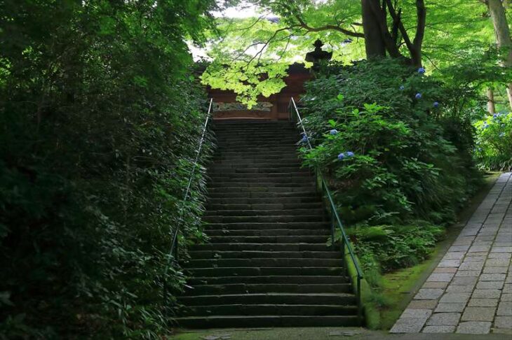 妙本寺の参道の階段