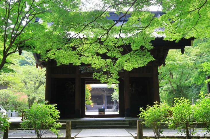 妙本寺の二天門