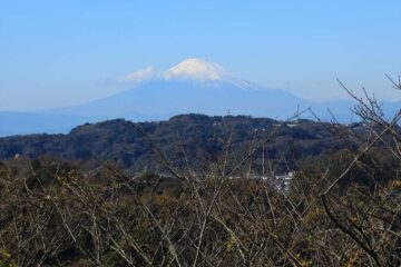 浄妙寺緑地からの富士山