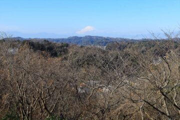 浄妙寺緑地からの富士山