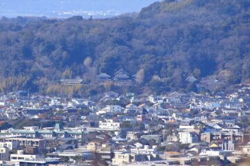 浄明寺緑地 パノラマ台から見た長谷寺