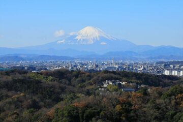 勝上献展望台からの富士山