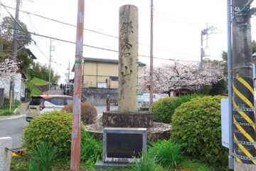 鎌倉山さくら道 記念塔