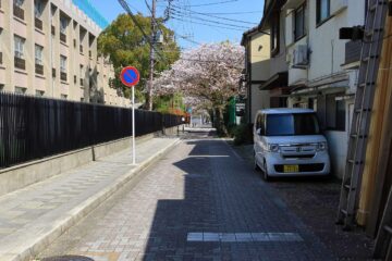 桜道（鎌倉市雪ノ下・西御門）