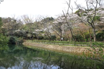 鎌倉湖（散在ガ池）