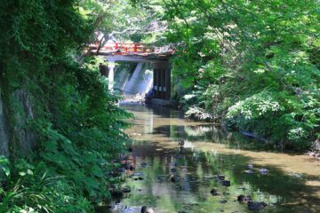蛭子神社から見た琴弾橋