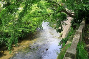 蛭子神社から見た滑川