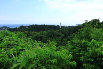 水道山展望台からの眺め（正面）