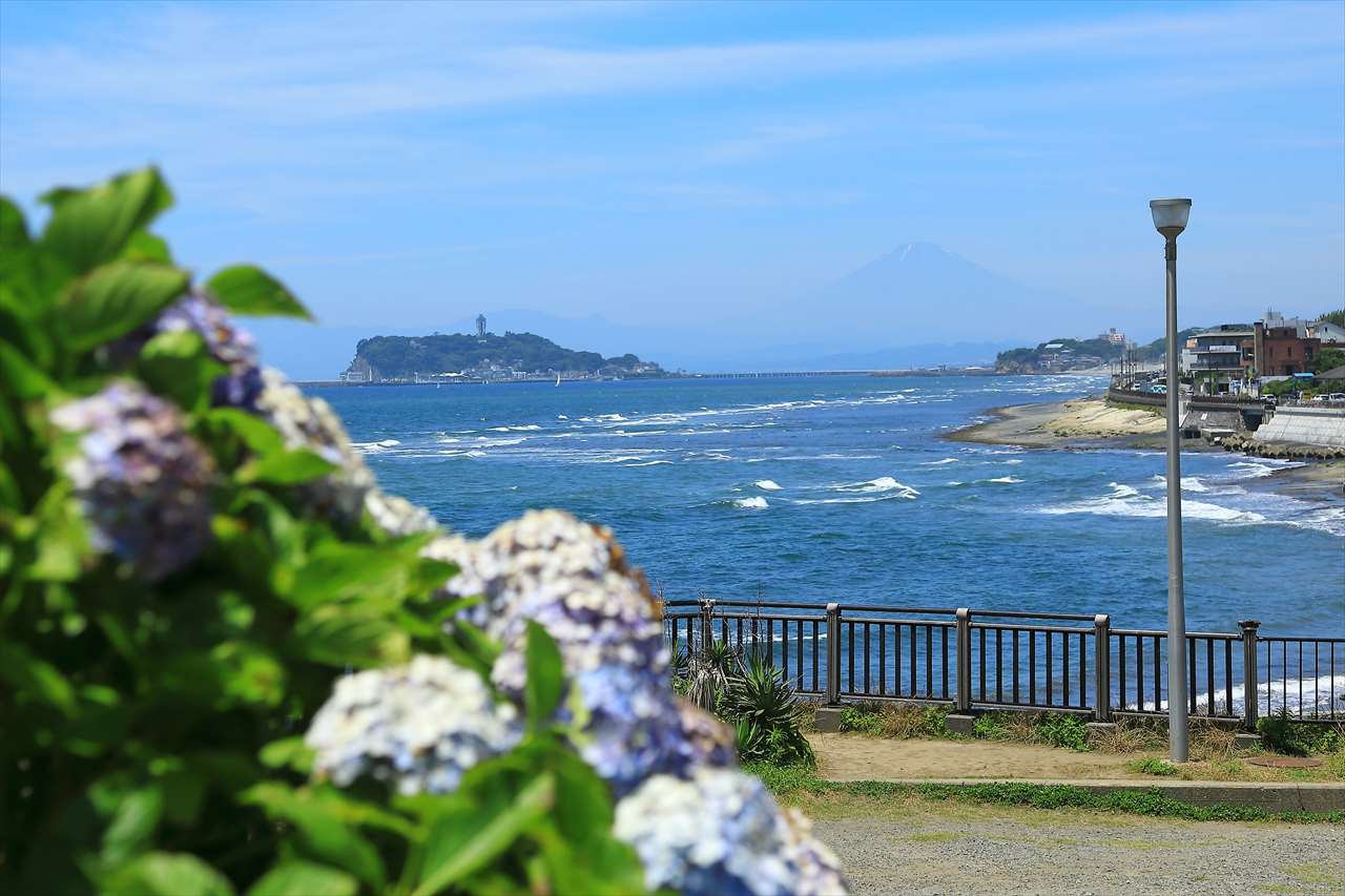 江ノ島と富士山と紫陽花