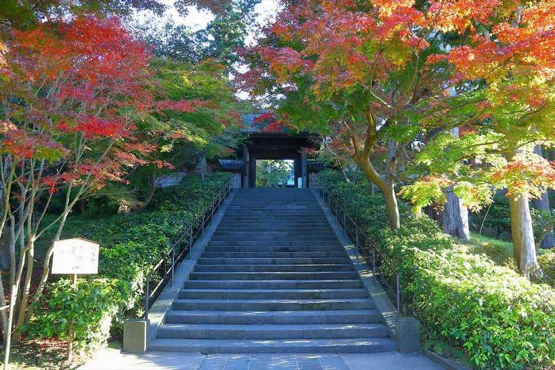 円覚寺の入口の紅葉