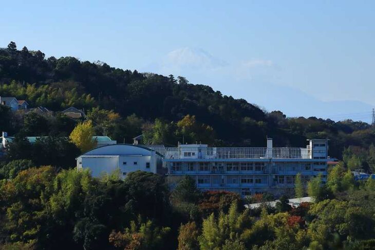 円覚寺から見る富士山
