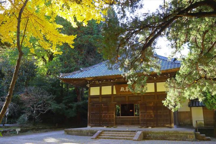 秋の浄智寺