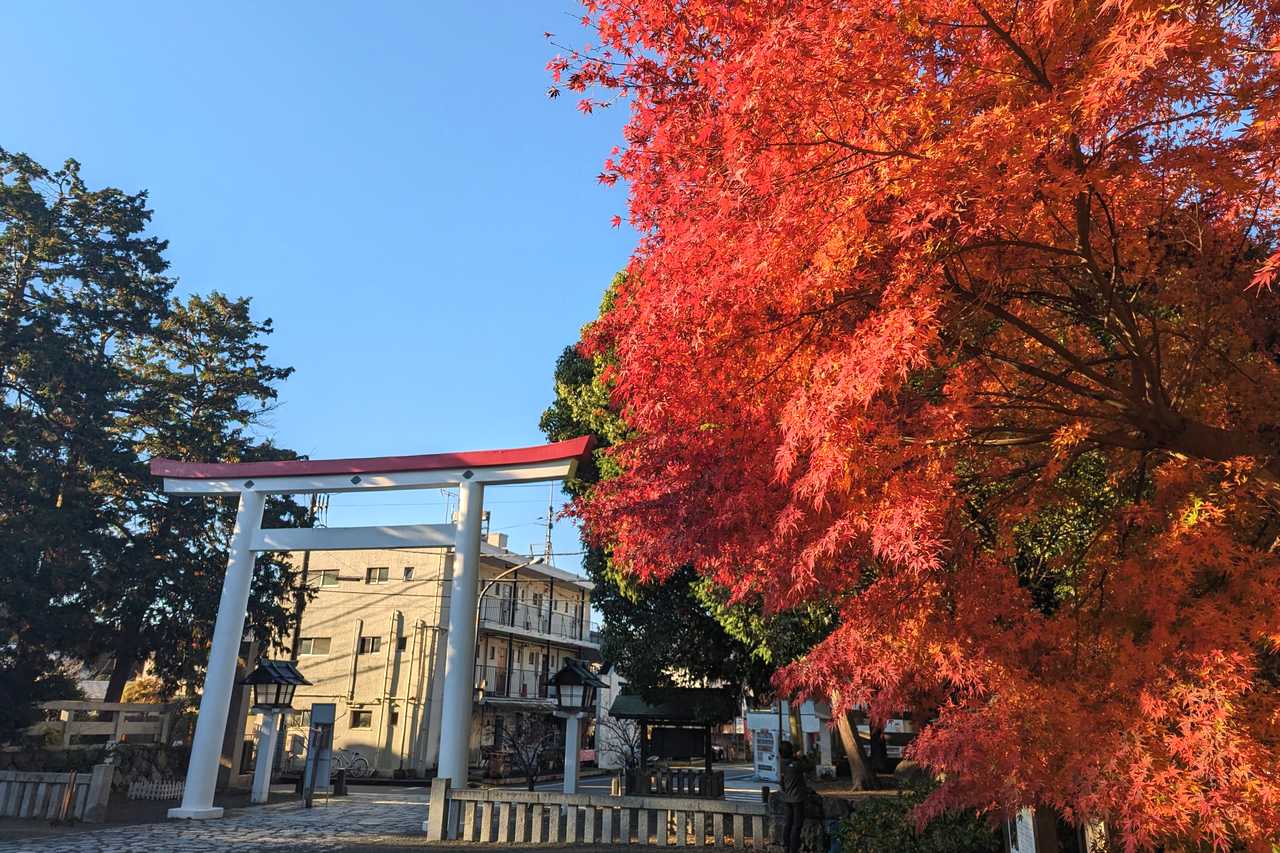 2022年11月の鎌倉の天気と様子