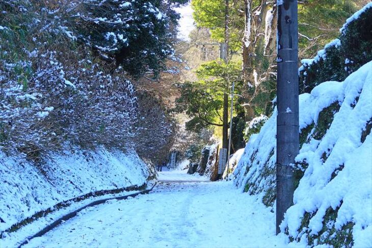 亀ヶ谷坂切通の雪景色