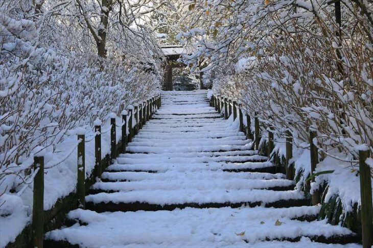 明月院の雪景色