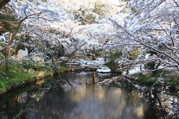 柳原神池の雪景色