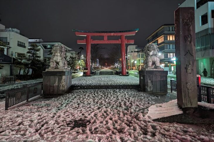 段葛の雪景色