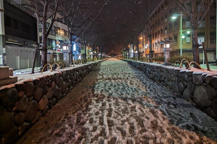 段葛の雪景色