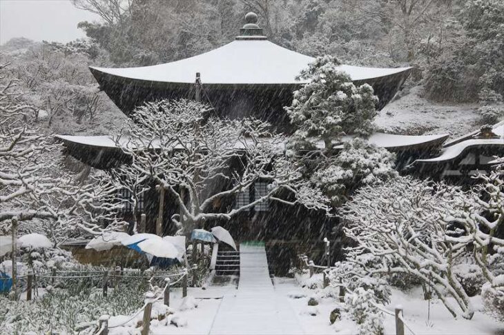 瑞泉寺本堂の雪景色