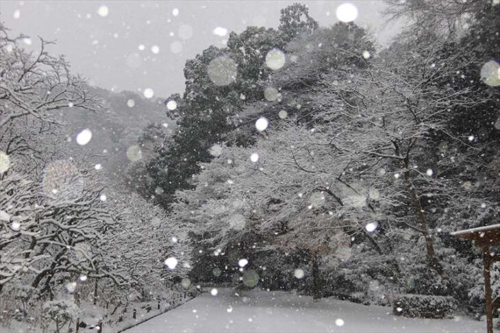 瑞泉寺の雪景色