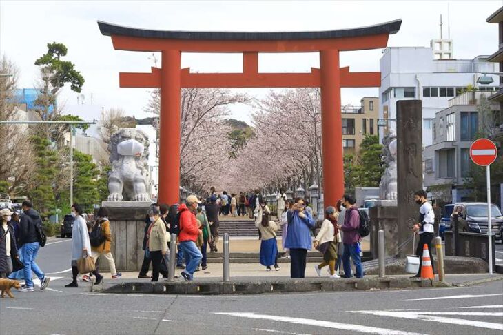 段葛と若宮大路