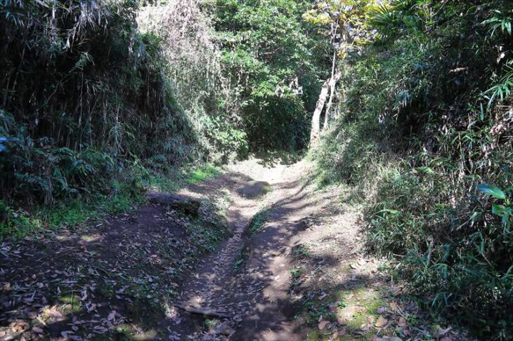 源氏山公園（寿福寺ルート）