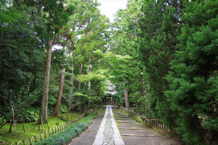 寿福寺