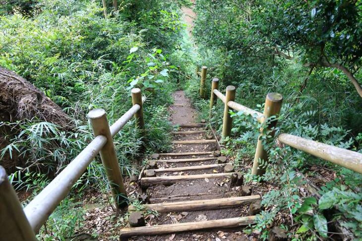 葛原岡ハイキングコース