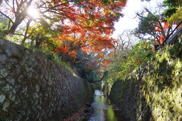 二階堂川