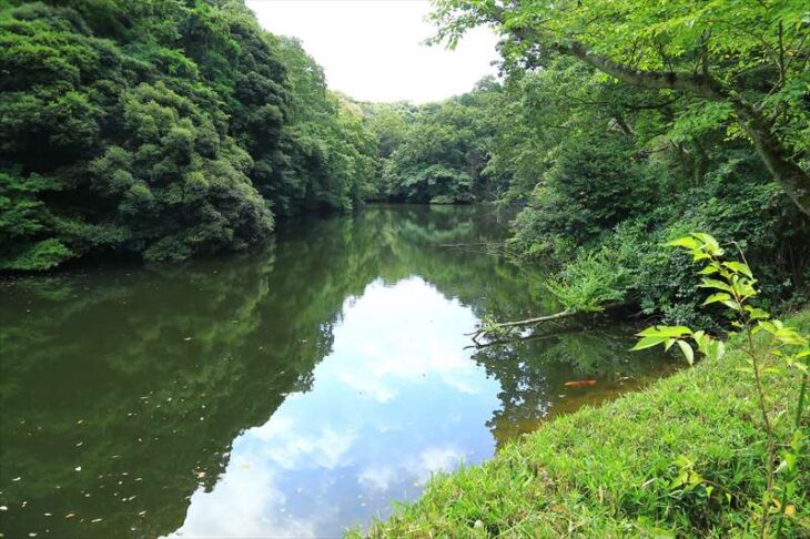 鎌倉湖（散在ガ池森林公園）