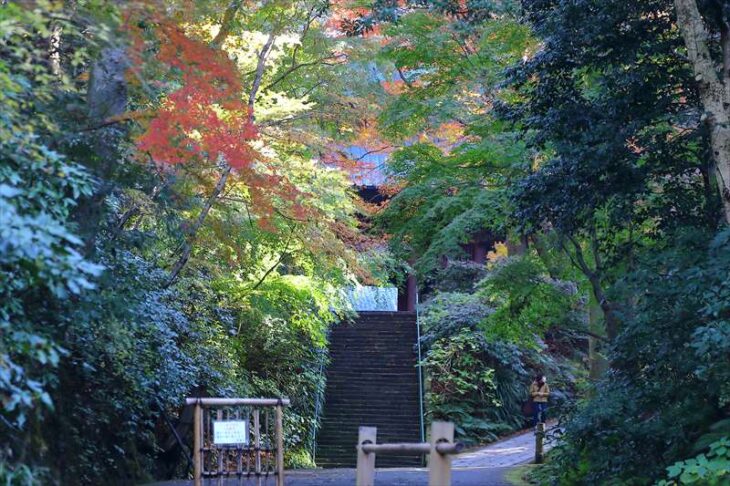妙本寺