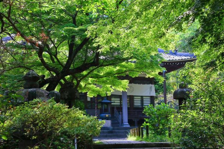 安国論寺