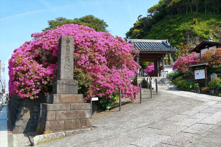安養院