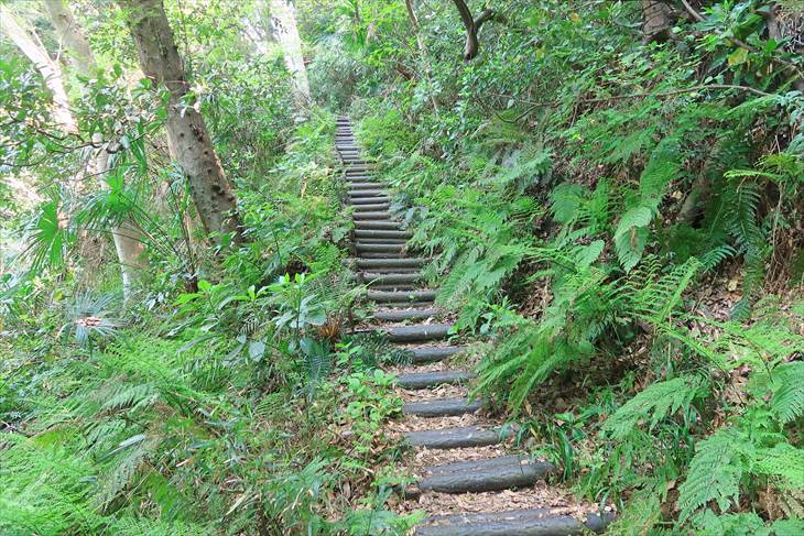 祇園山ハイキングコース