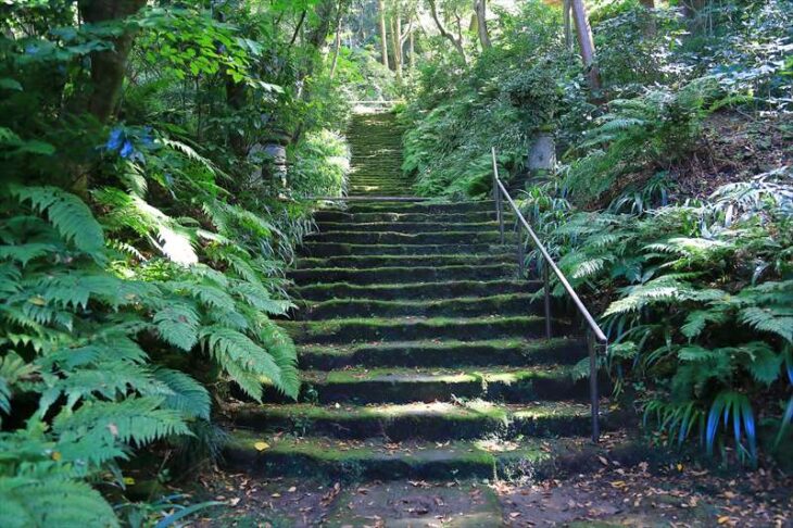 妙法寺の石段